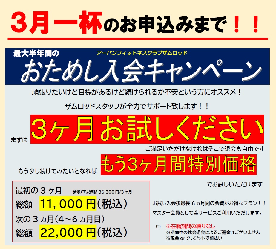 2023お試しキャンペーン