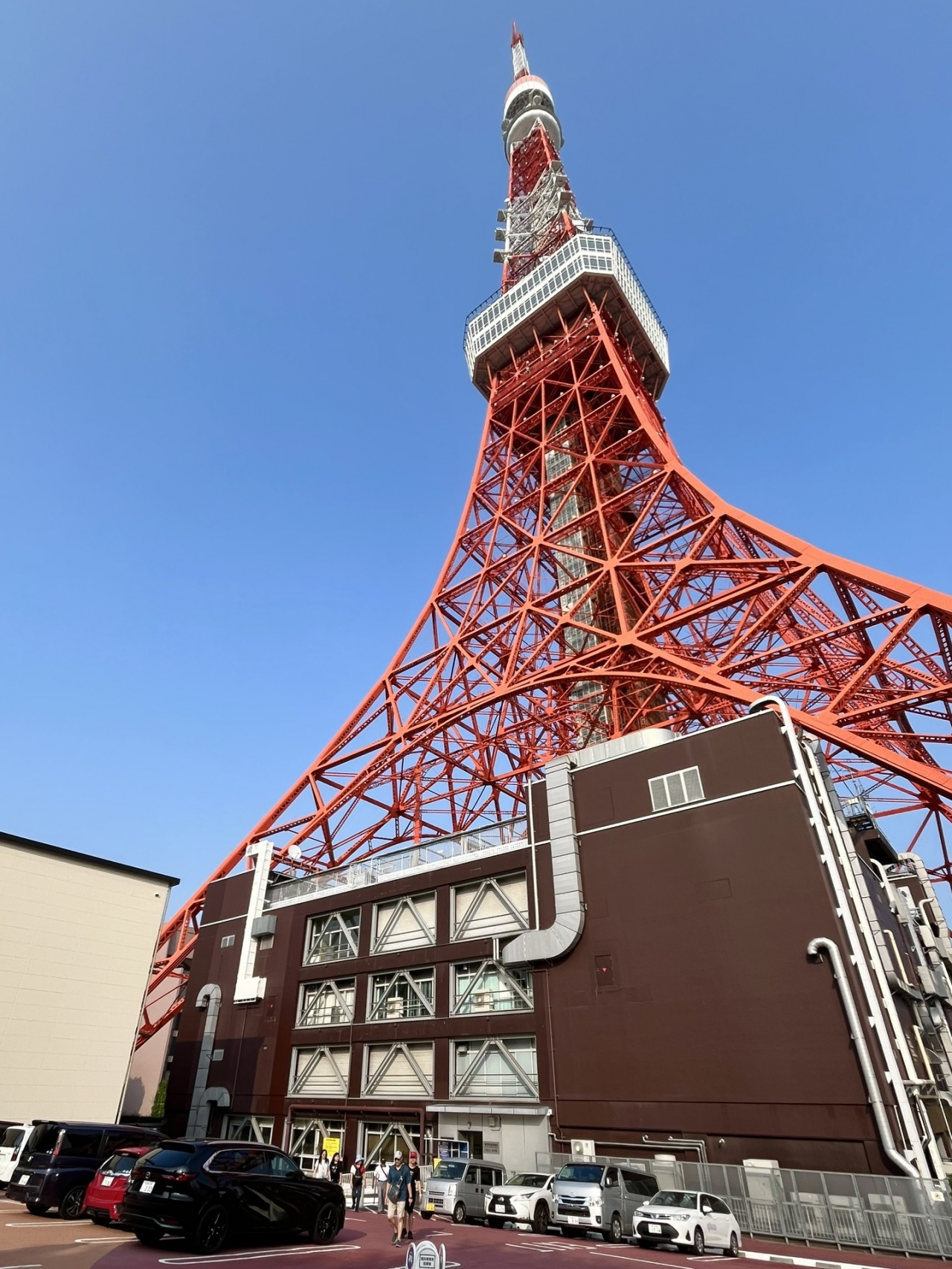 たくちゃんの日常（数十年ぶりの東京タワー）